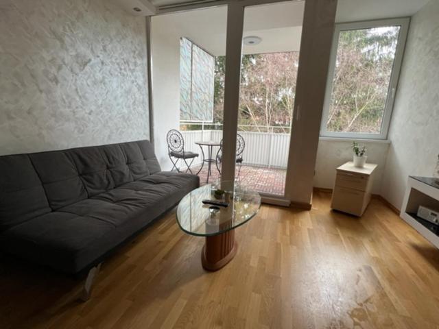 Schönbrunn Luxury Apartment